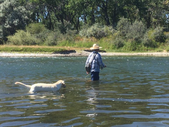 Guides Day Off - Tyler wade fishing on the Bighorn River