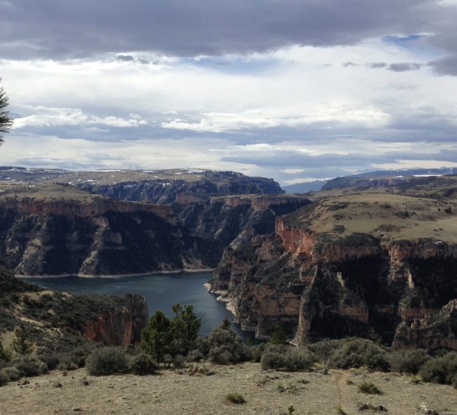 "Pretty Eagle" - Professionally guided viewing in the Bighorn Lake and Canyon
